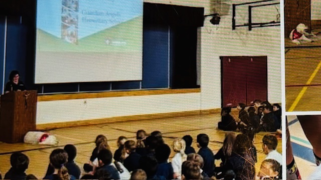 Therapy dog in a gymnasium